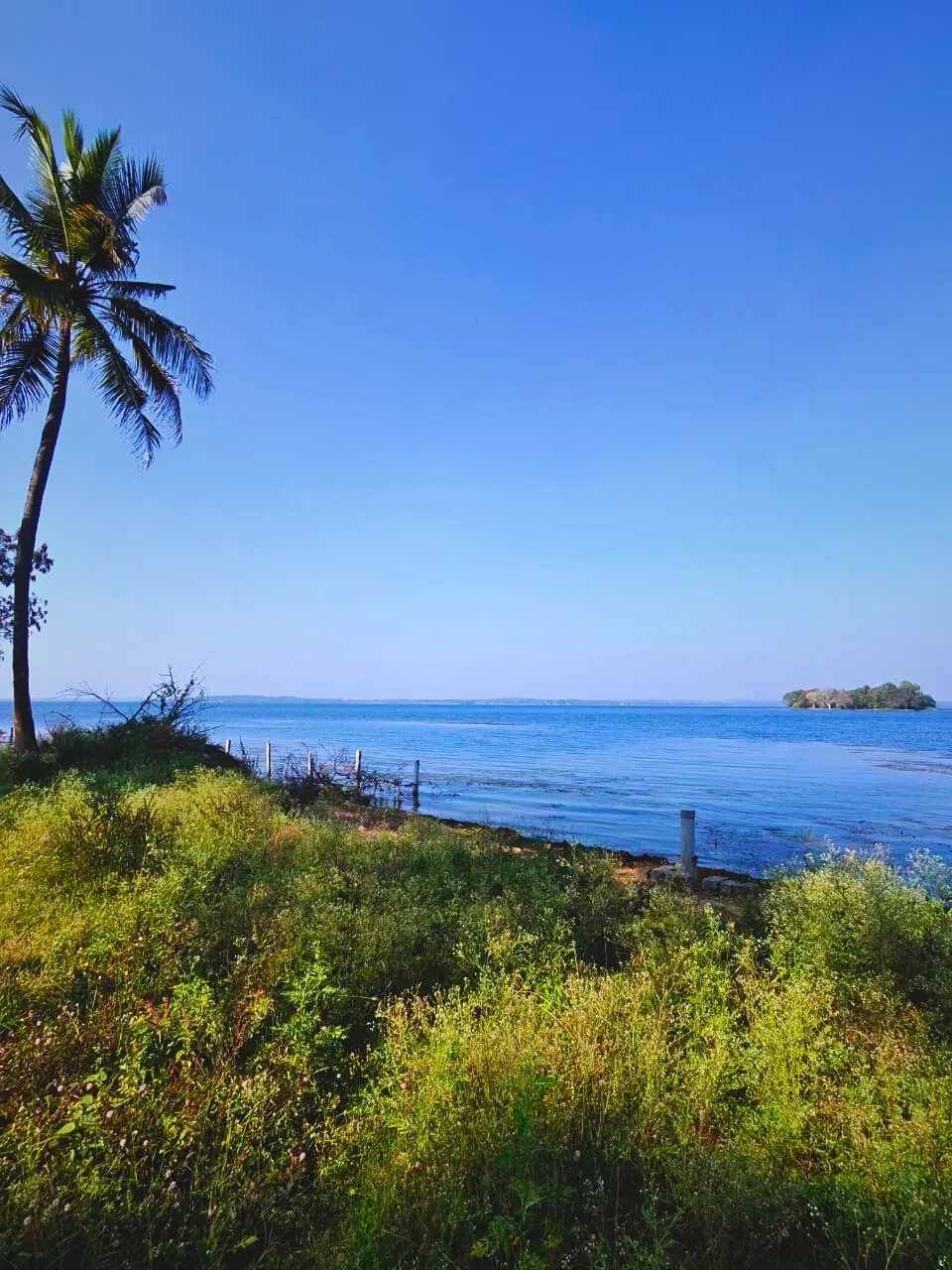 Lakeside Green Vista