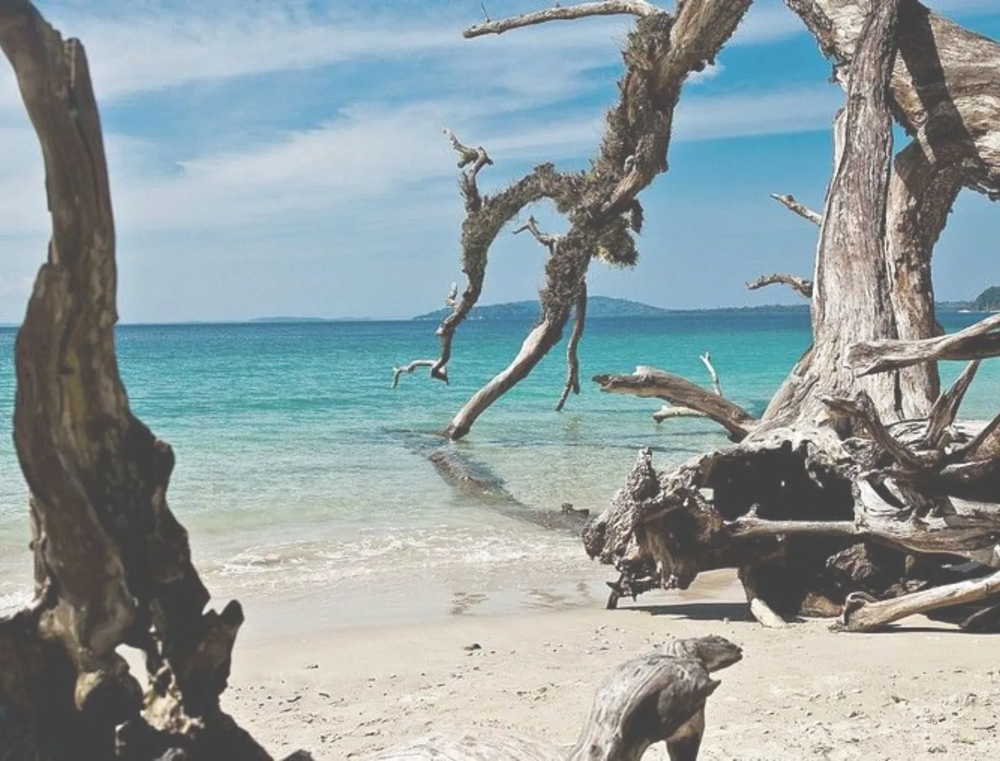 Barefoot at Havelock