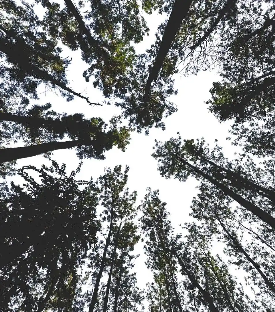 Amenities for the Soul